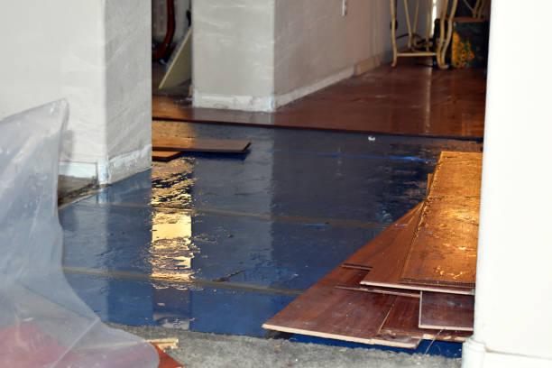Professional Water Extraction technician working in Sherman, IL